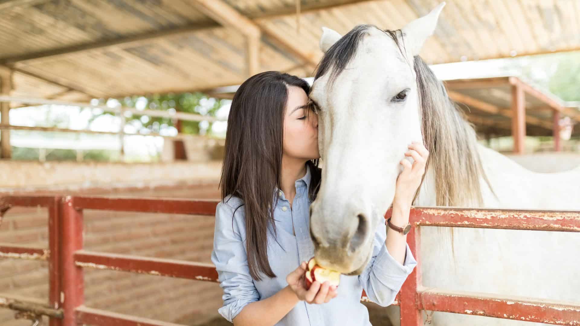 ANF Animal Therapy