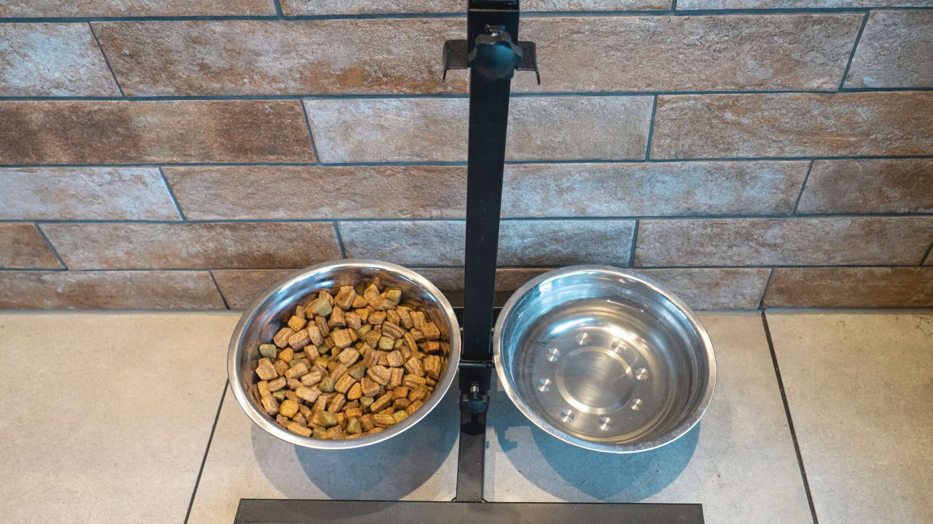 Elevated food bowls