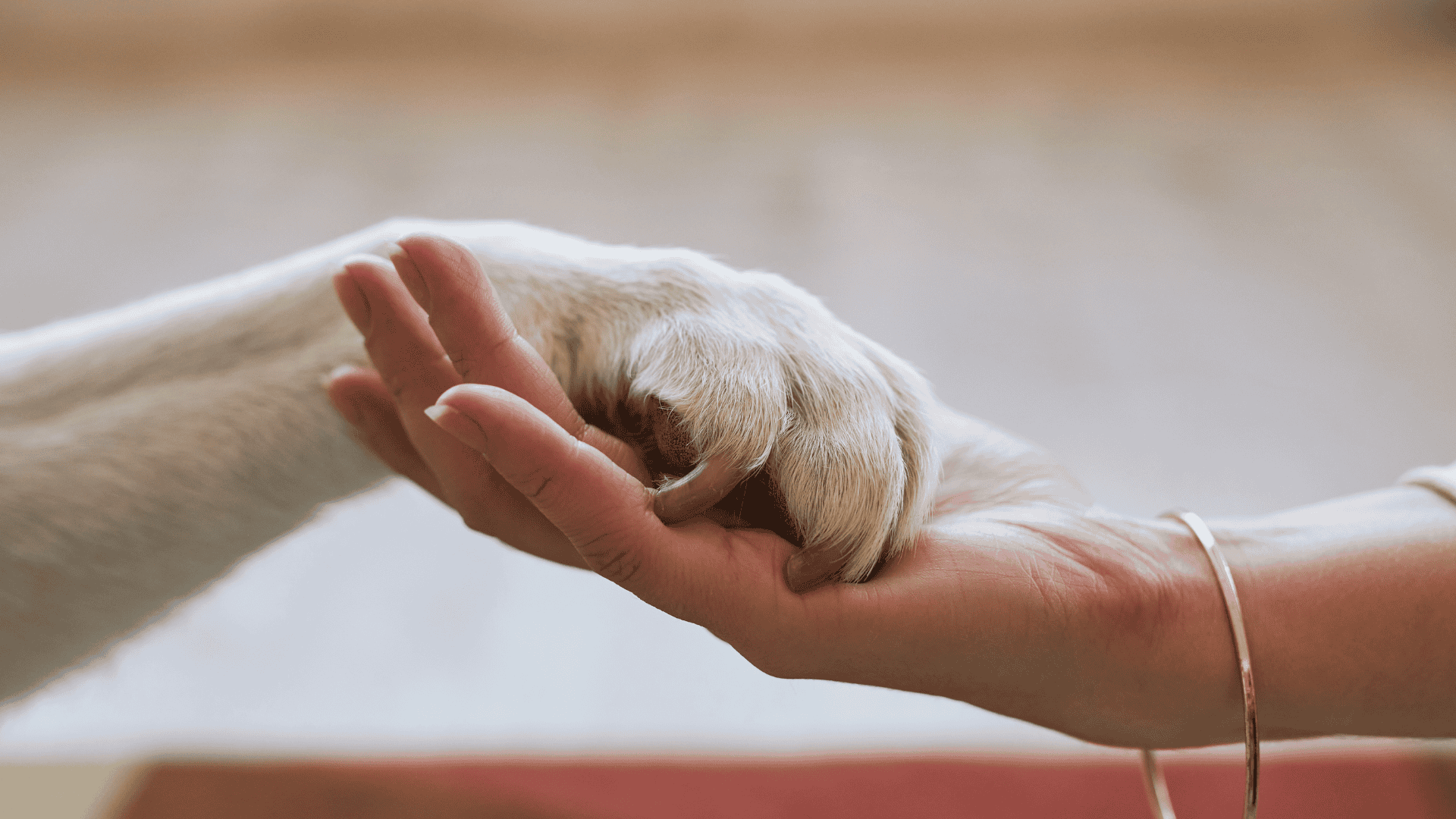 The Value of Drug-Free Approaches