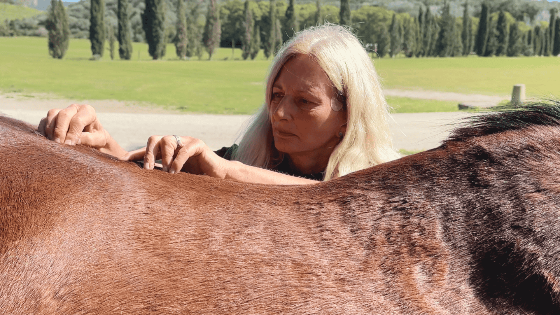 Supporting Horses After Performance or Injury