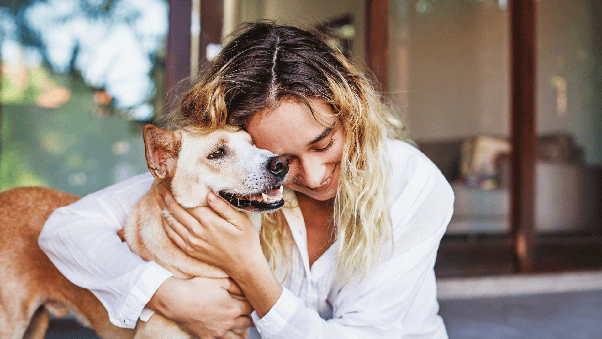 Understanding the Problem: When Your Pet Shows Subtle Signs of Pain