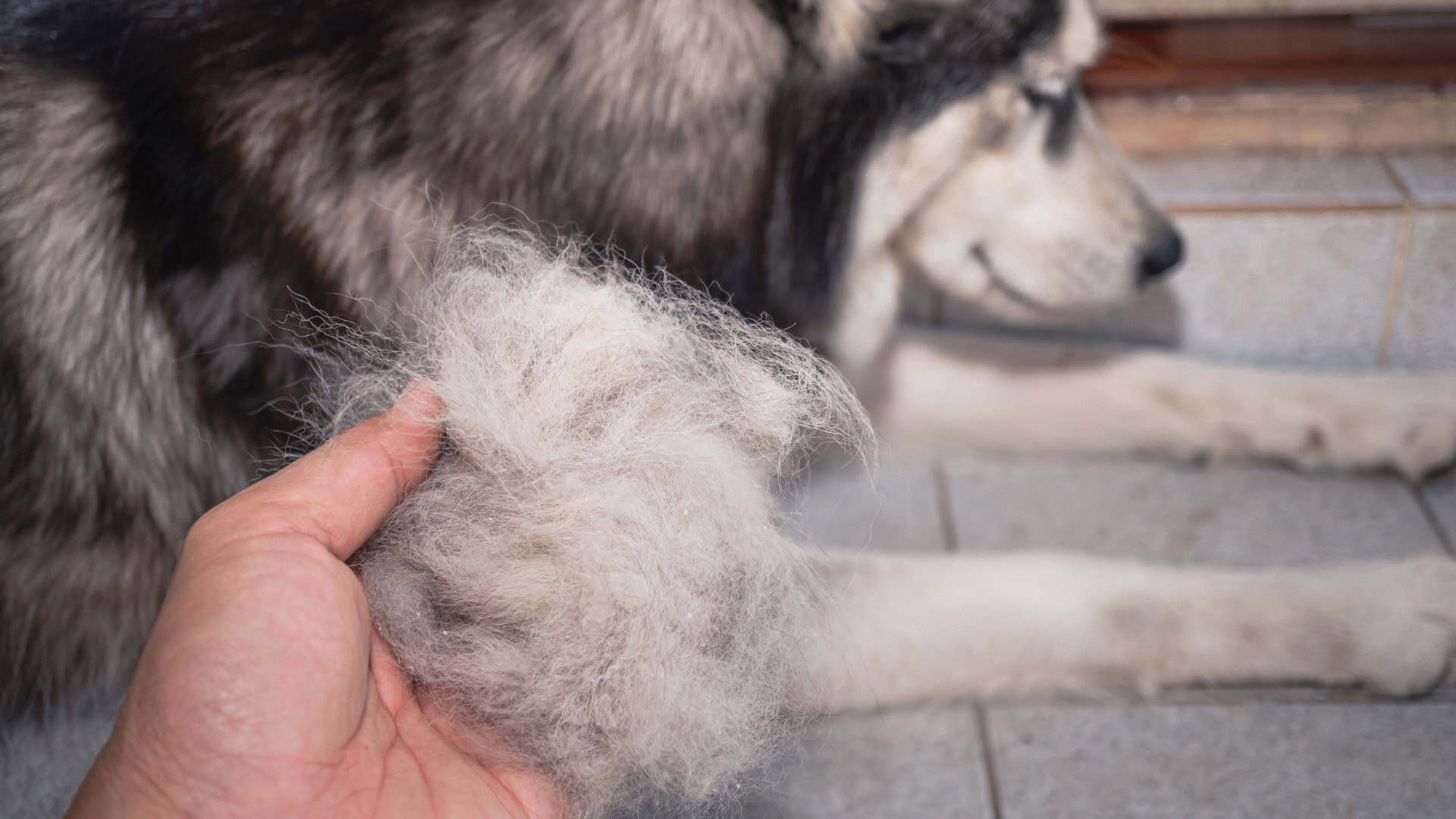How Frequency-Based Therapy Helps Manage Allergy-Related Hair Loss