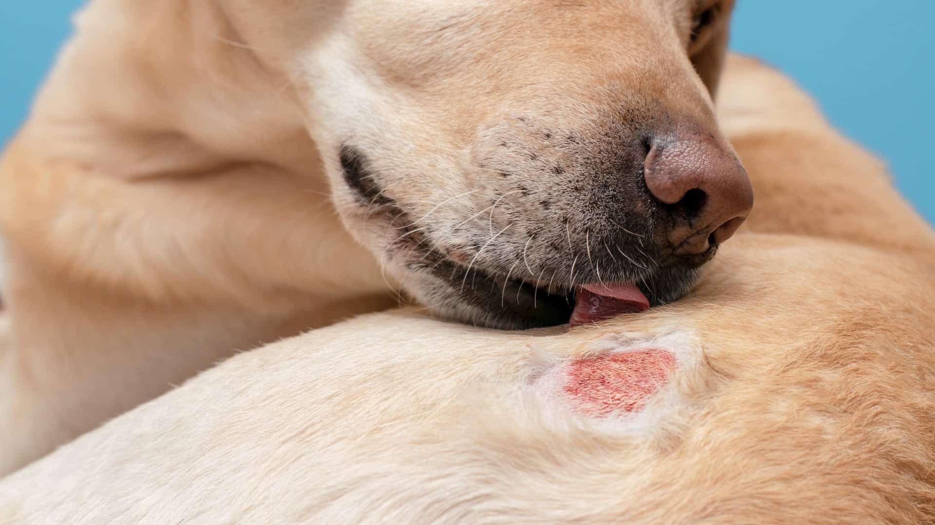 What are the signs of allergy-related coughing