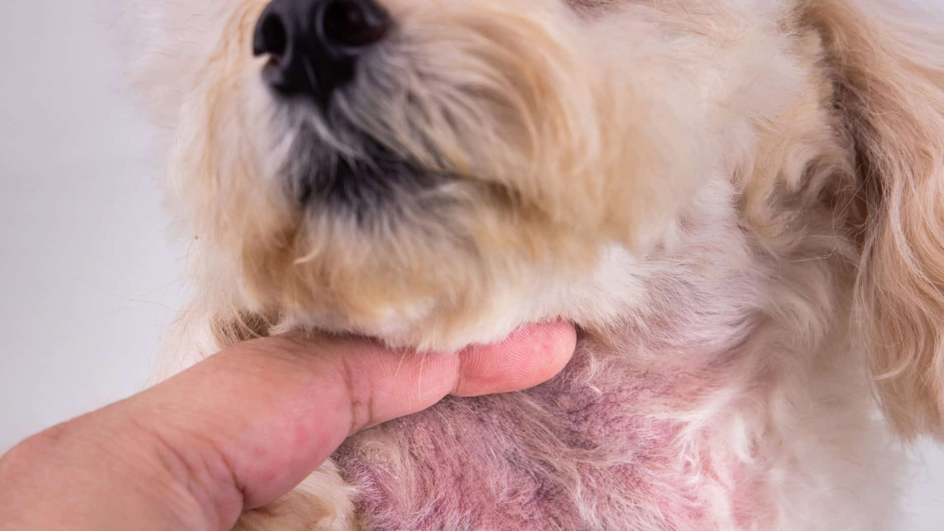 When Is Itching More Likely Not Cancer