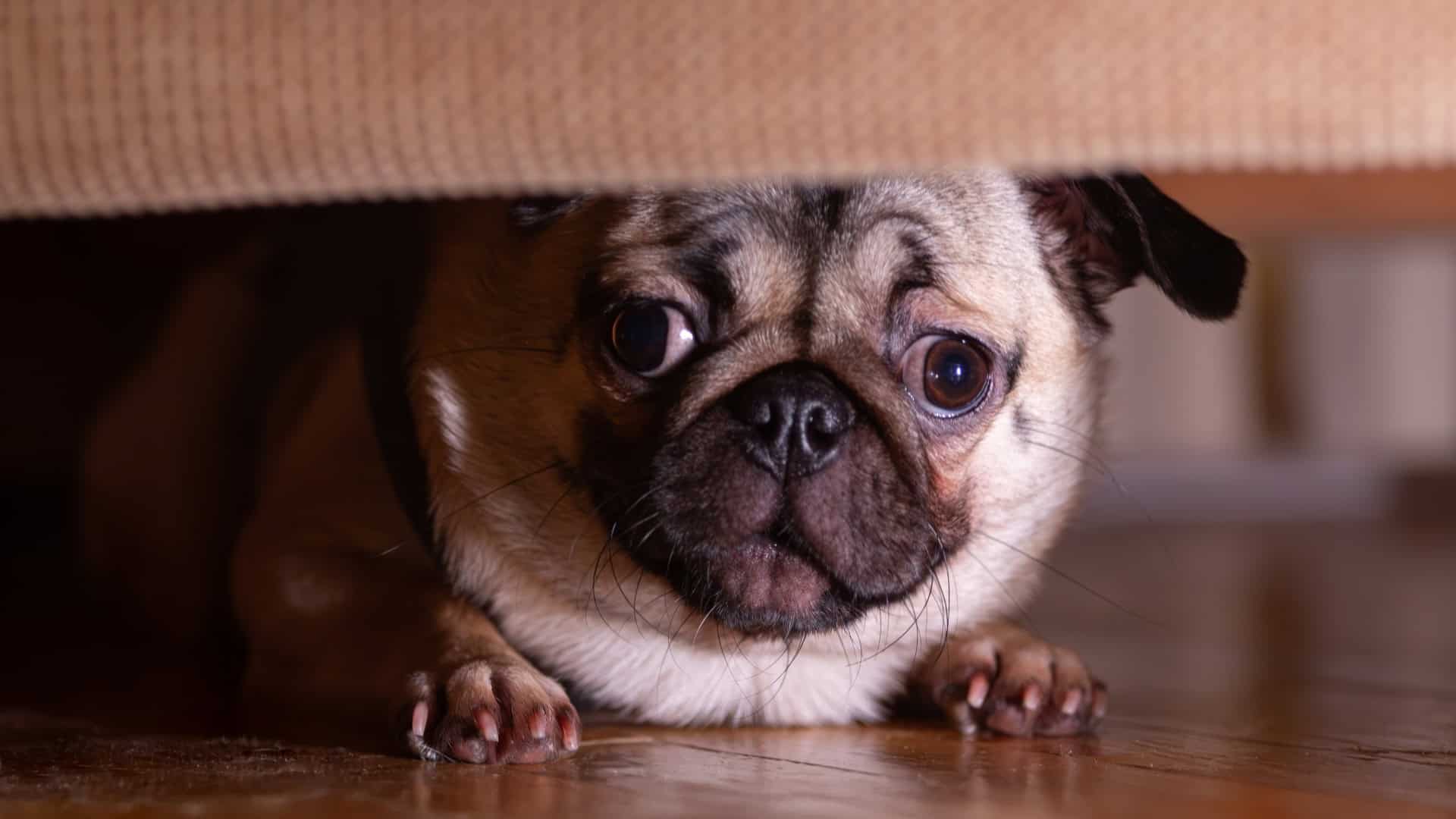 Avoidance or Hiding