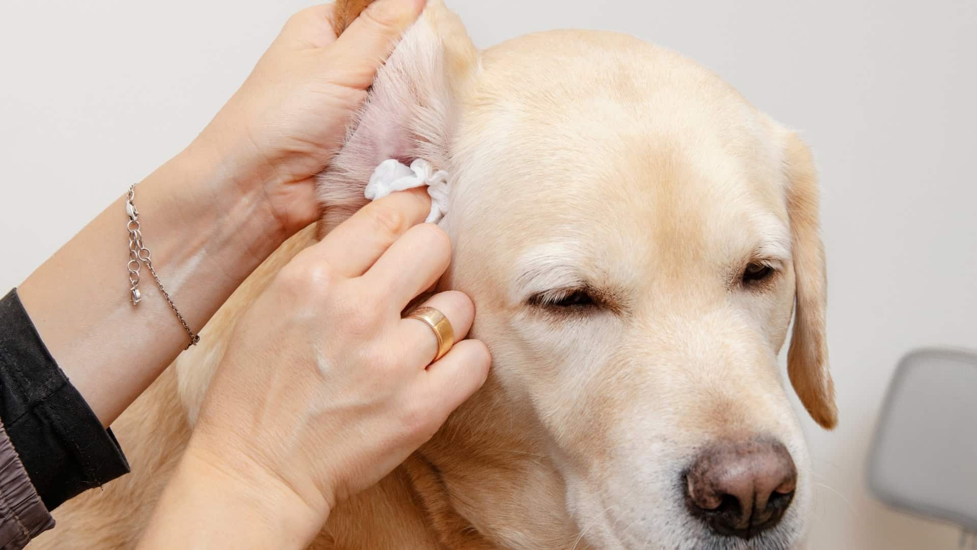 Home Care Tips When Appropriate