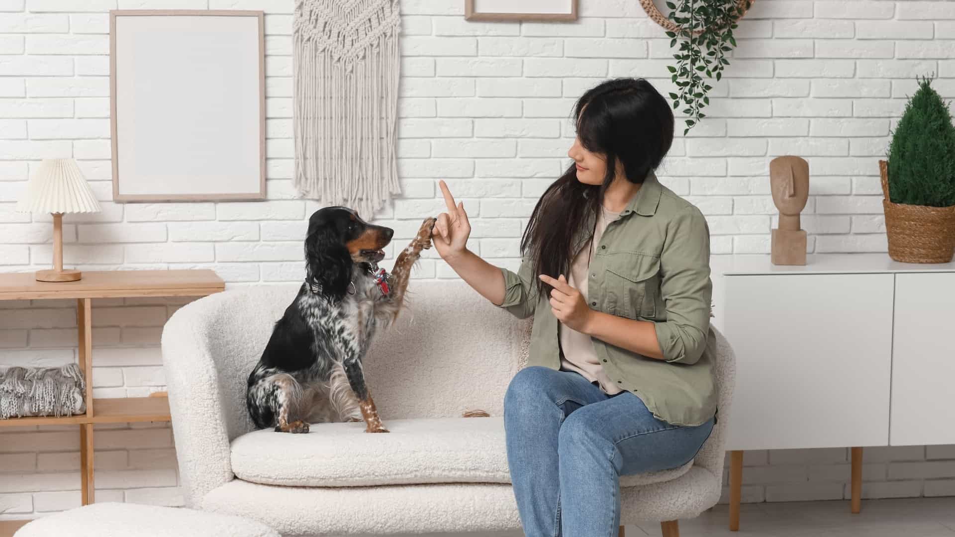 Positive Behavioral Training