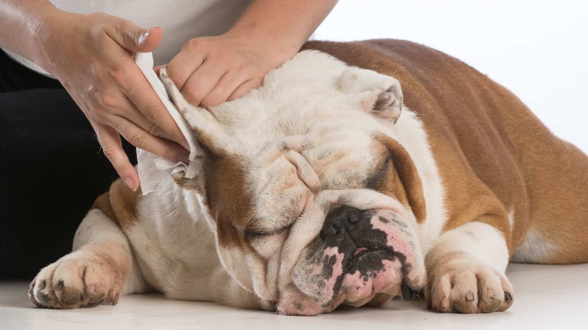 Signs and Symptoms of an Ear Rash